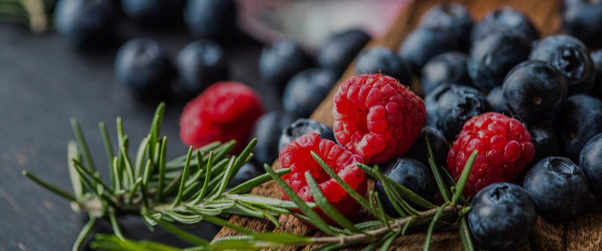 BLACKERY<br>NEW  COLLECTION 2019