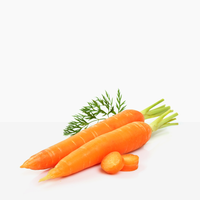 Carrot