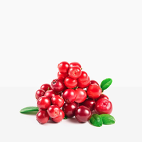 Lingonberry