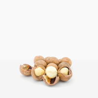 Macadamia nuts